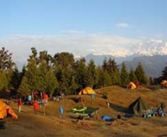 Honeymoon Tour To Chopta