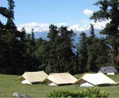 Chopta Honeymoon Tour Package