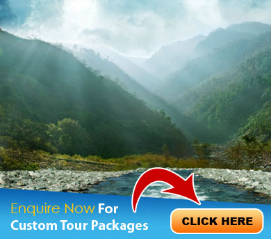 Chopta Tour Packages