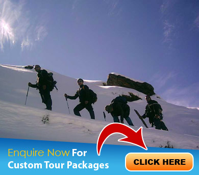 Chopta Tour Packages