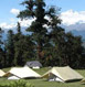 Chopta Tour Packages